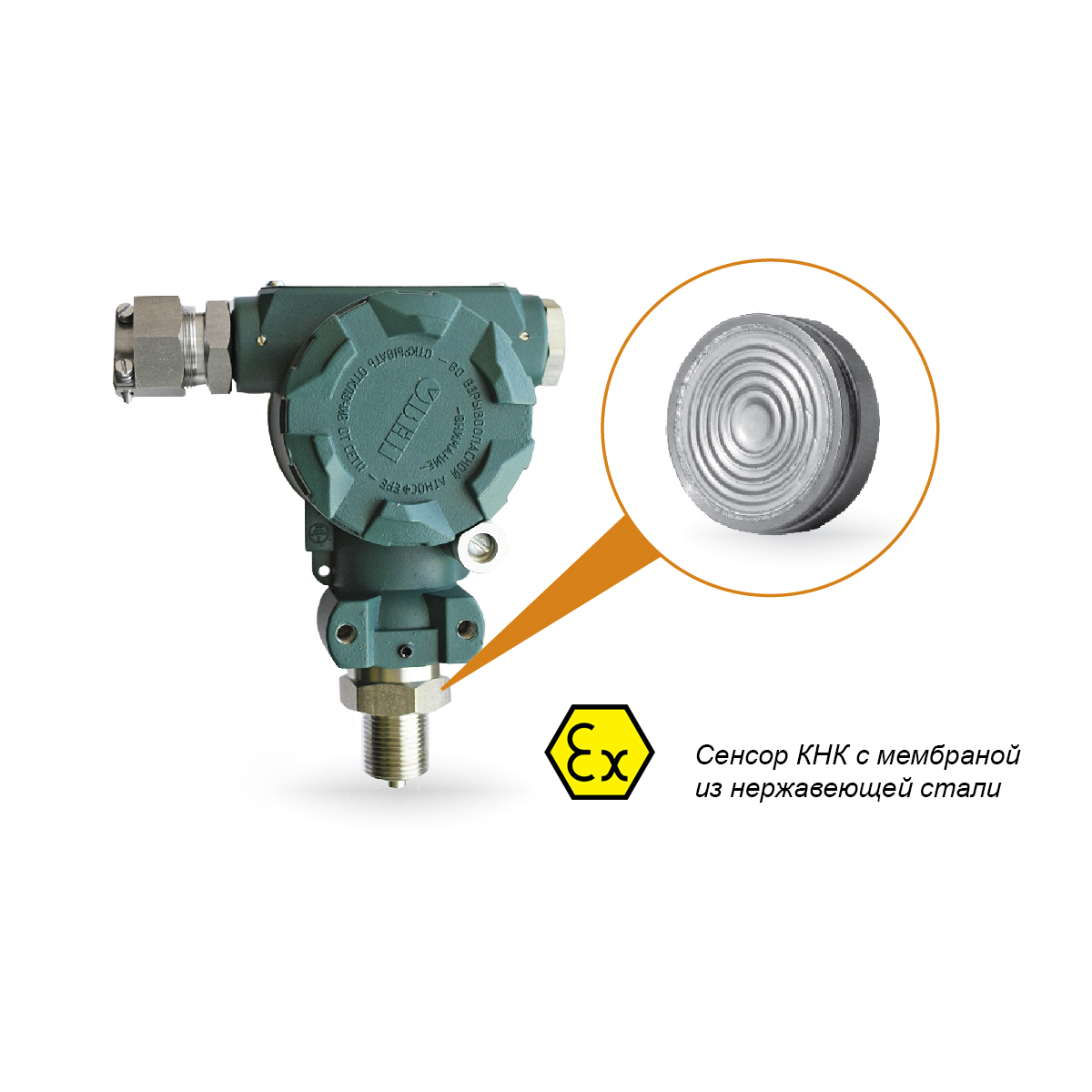 ПД100 модель 1х5-Exd Датчик давления в полевом корпусе для сложных условий в исполнении EXD