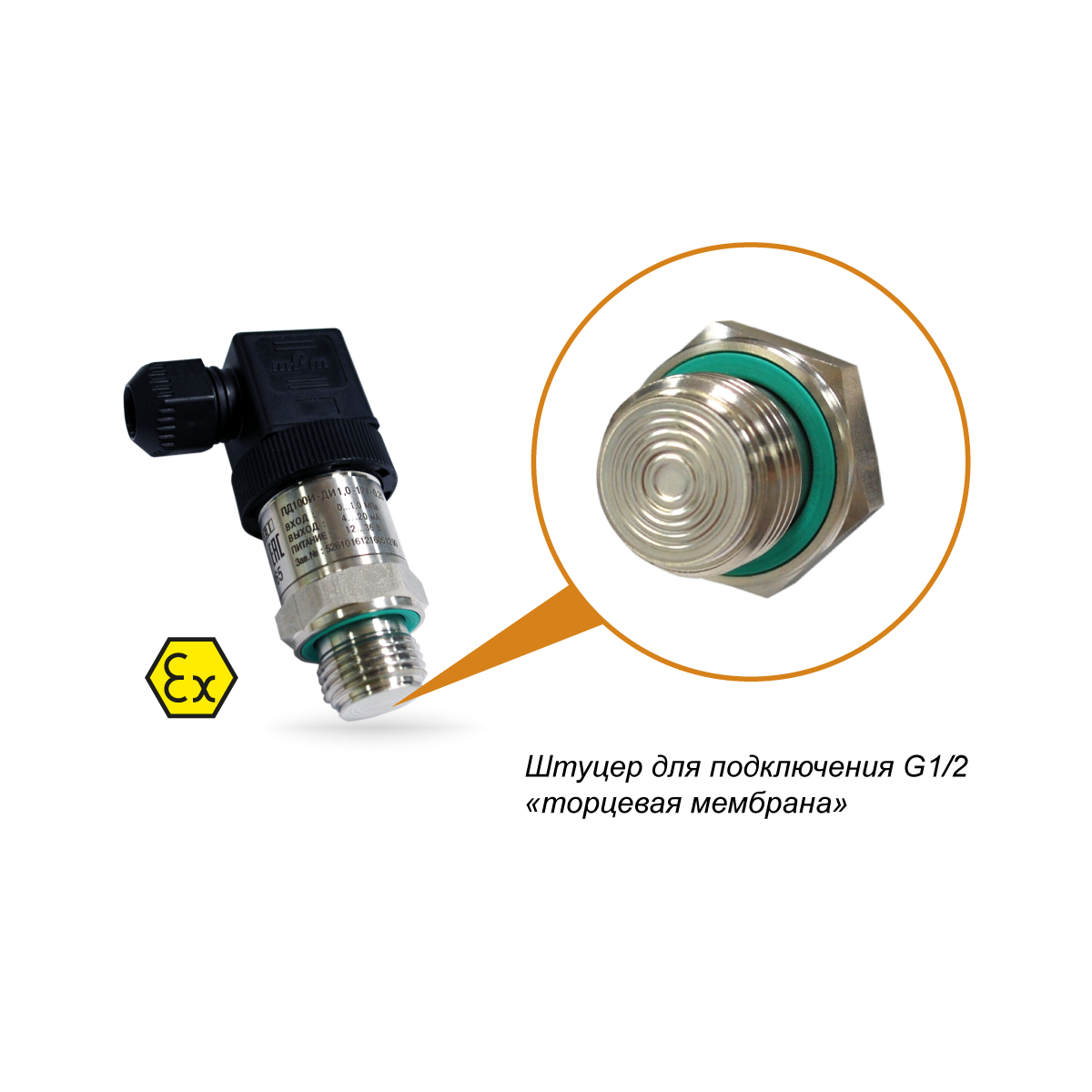 ПД100И модель 121-Exi Датчик давления с торцевой мембраной G1/2 для загрязнённых сред в исполнении EXI